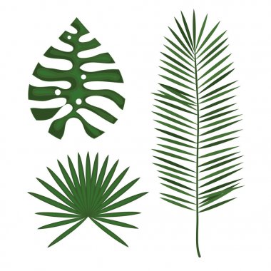 tropikal çiçek dekorasyon yapraklar