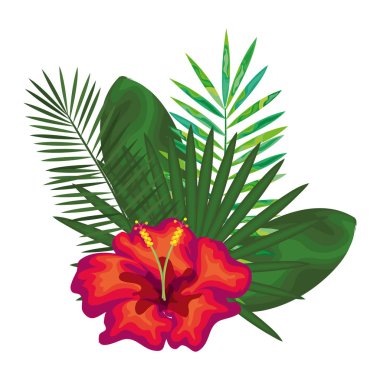 tropik çiçekler dekoratif kartı