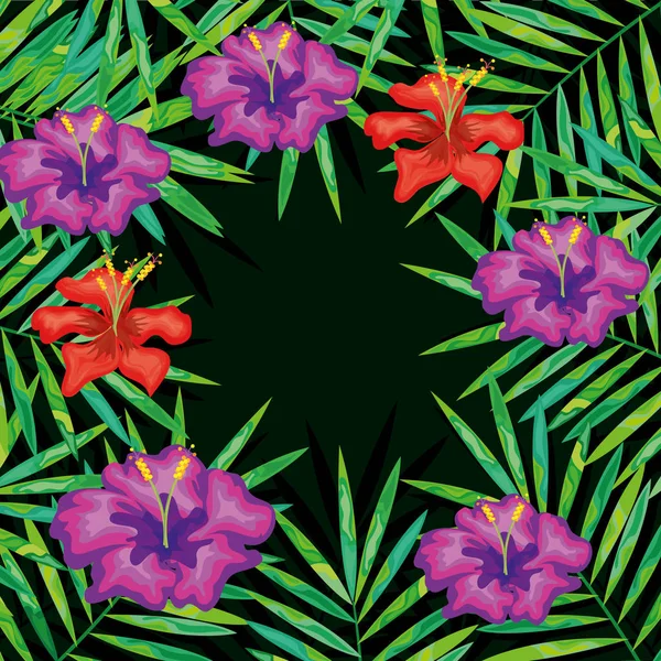 Tropik çiçekler dekoratif kartı — Stok Vektör