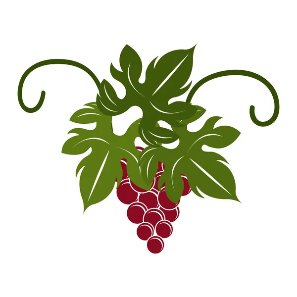Izole şarap etiket tasarımı — Stok Vektör