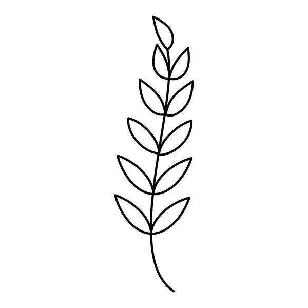 Dekoratif izole simgesi yapraklar — Stok Vektör