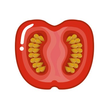 taze domates sebze simgesi