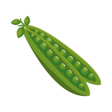 taze fasulye sebze simgesi