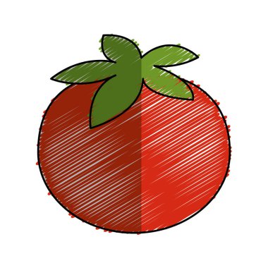 taze domates sebze simgesi