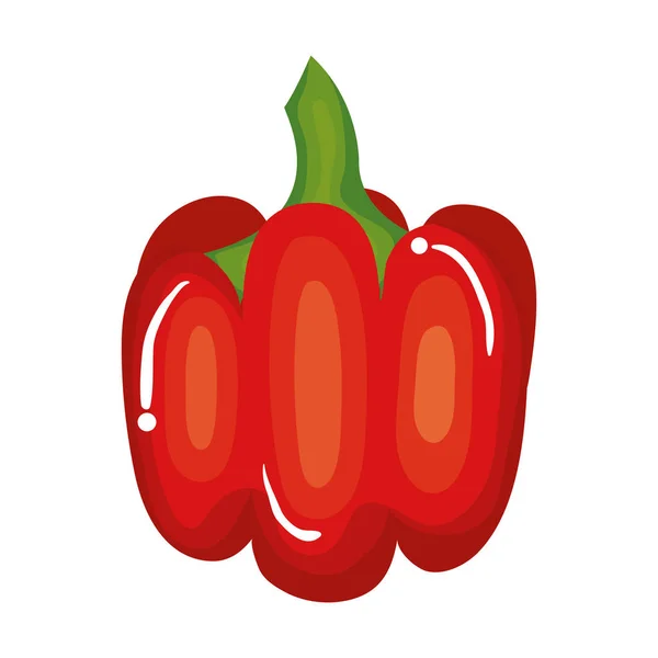 Friss paprika növényi ikon — Stock Vector