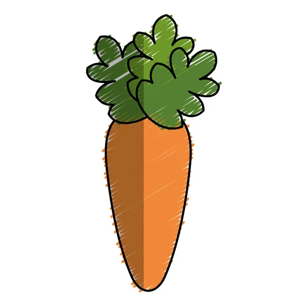 Ícone vegetal de cenoura fresca — Vetor de Stock