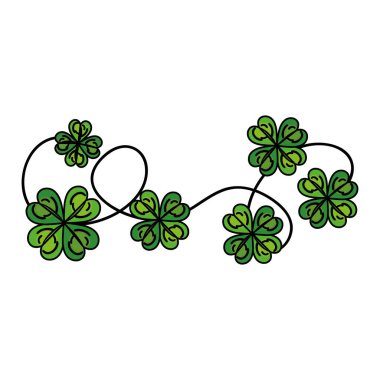 Saint patrick yonca simgesi