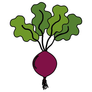 soğan taze izole simgesi