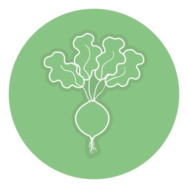 soğan taze izole simgesi