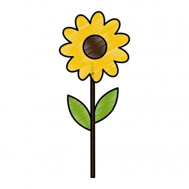 güzel çiçek tasarımı