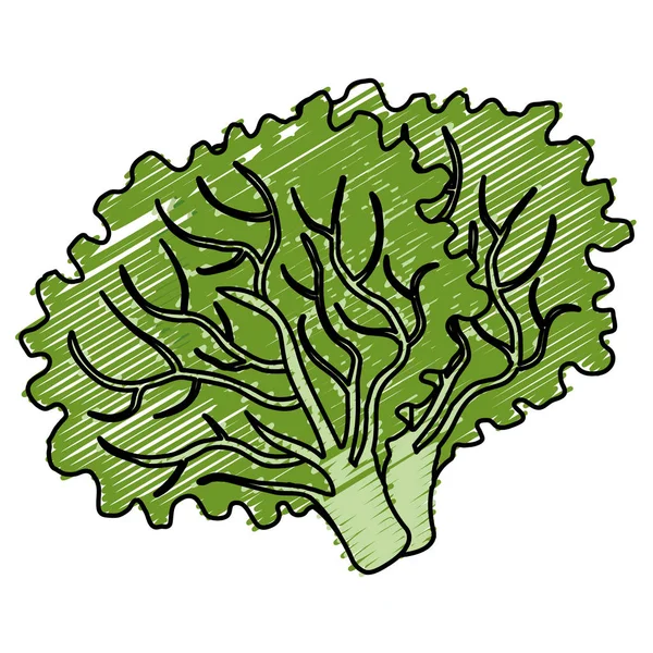 Иконка салата — стоковый вектор