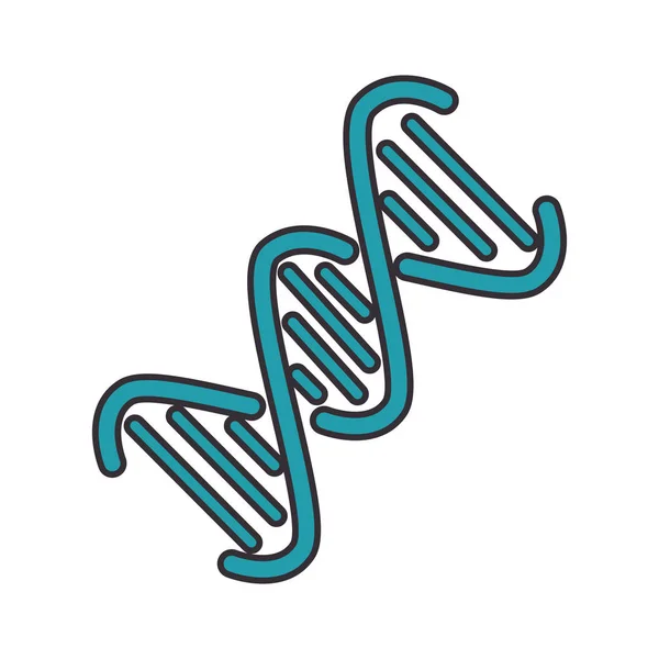 Pictogram van de ketting van DNA — Stockvector