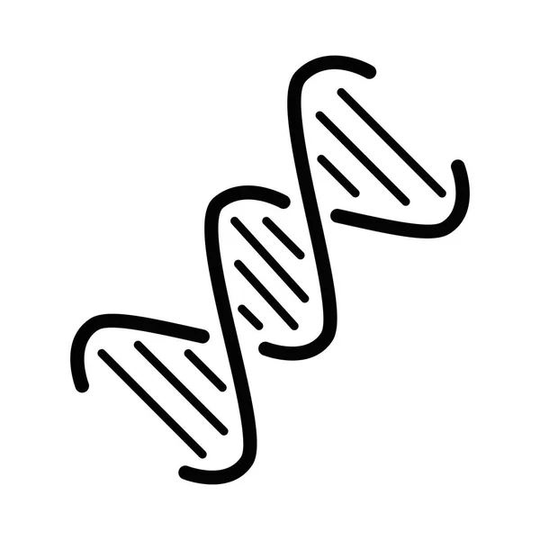 Símbolo de ADN humano — Archivo Imágenes Vectoriales
