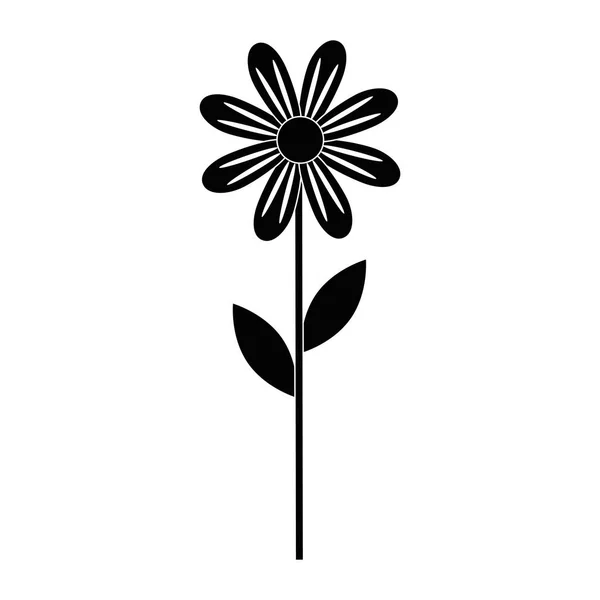 Mooie bloemen ontwerp — Stockvector