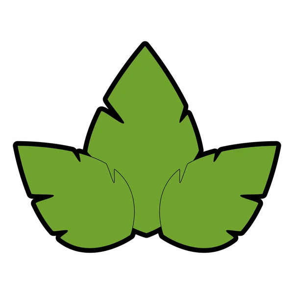 Leaves icon image — Stock Vector