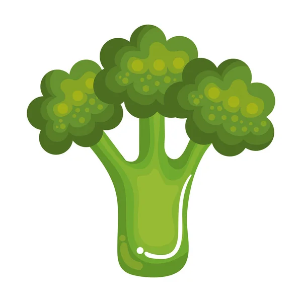 Brócoli icono de verduras frescas — Vector de stock