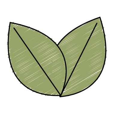 bitki ekoloji simgesi yapraklar