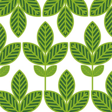 bitki ekoloji desen yapraklar