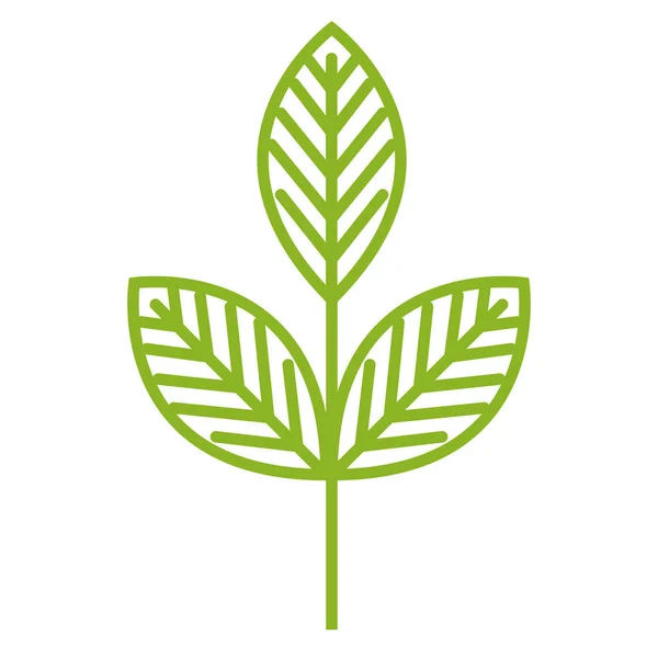 Foglie icona di ecologia vegetale — Vettoriale Stock