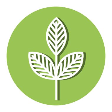 bitki ekoloji simgesi yapraklar