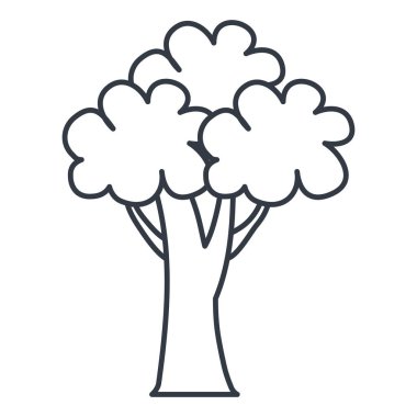 ağaç bitki izole simgesi