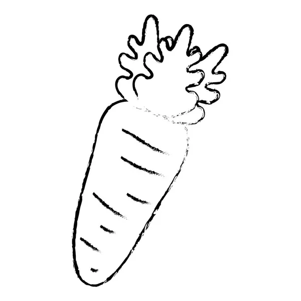 Zanahoria icono vegetal fresco — Vector de stock