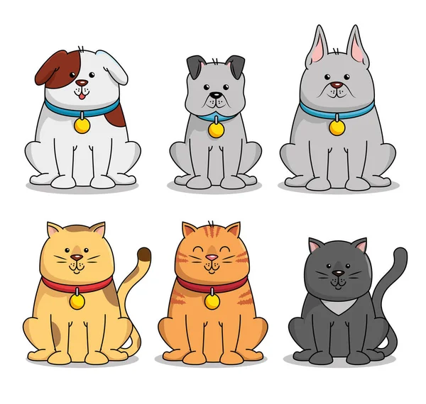 Grupo mascotes pet shop —  Vetores de Stock