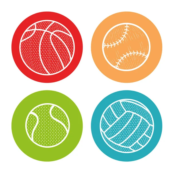 Sport balls isolated icon — Stock Vector