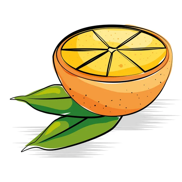 Laranja fruta fresca e saudável —  Vetores de Stock