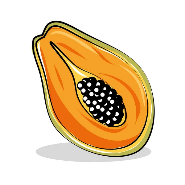 Papaya fresh and healthy fruit — Stock Vector