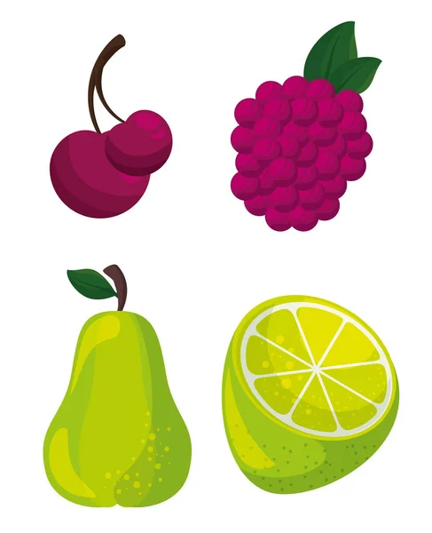 Farbenfrohes Fruchtdesign — Stockvektor