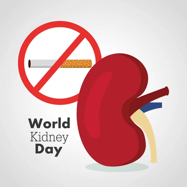 Всемирная карта на день почек запрещает сигарет — стоковый вектор