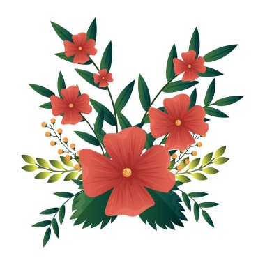 renkli çiçek yaprakları ile