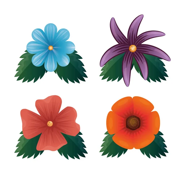 美しい色とりどりの花のセット — ストックベクタ