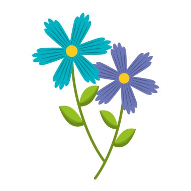 iki çiçek dekoratif bahar görüntü