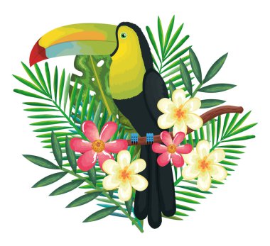 tropikal ve egzotik çiçekler ile toucan