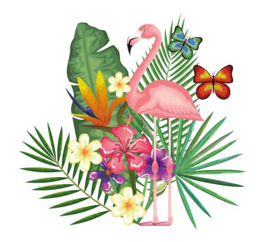 Flaman ile tropikal ve egzotik Bahçe