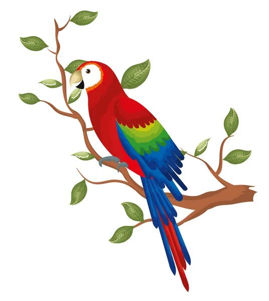 Tropical parrot in branch tree — Stock Vector