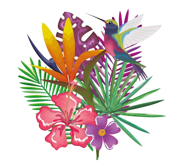 Jardin tropical et exotique avec colibri — Image vectorielle