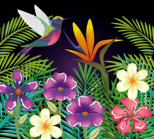 Tropische en exotische tuin met kolibrie — Stockvector