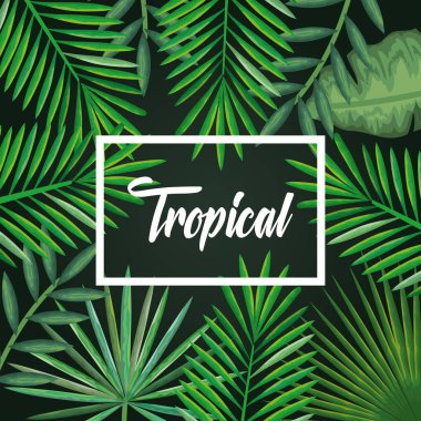 tropikal ve egzotik avuç içi yapraklar