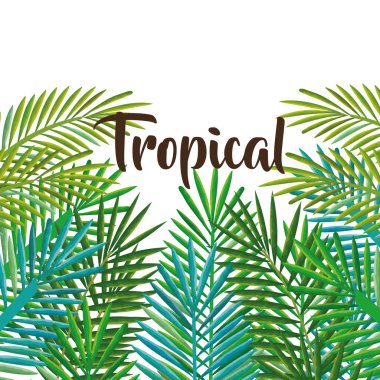 tropikal ve egzotik avuç içi yapraklar