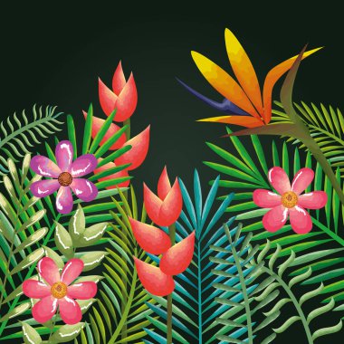 tropikal ve egzotik çiçekler ve yapraklar