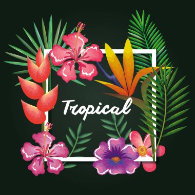 tropikal ve egzotik çiçekler ve yapraklar