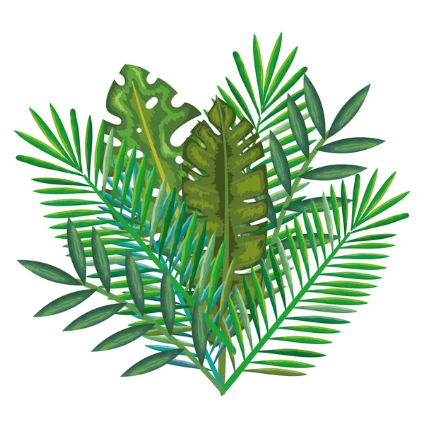 열 대와 이국적인 야자수 잎 — 스톡 벡터