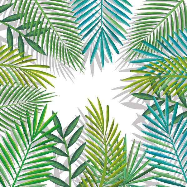 tropical and exotic palms leafs