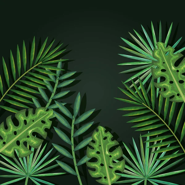 Folhas de palmeiras tropicais e exóticas — Vetor de Stock