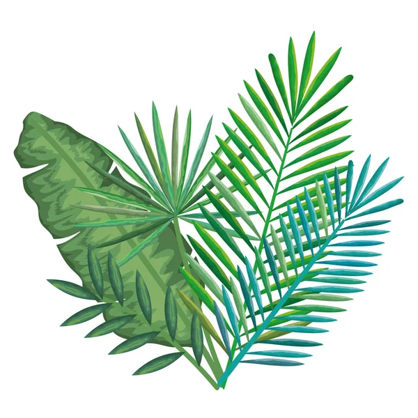 Tropical and exotic palms leafs — Stock Vector