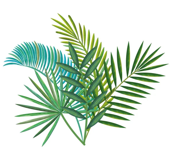 熱帯およびエキゾチックなヤシを葉します。 — ストックベクタ