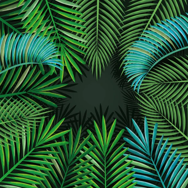 Foglie di palme tropicali ed esotiche — Vettoriale Stock